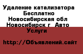 Удаление катализатора - Бесплатно - Новосибирская обл., Новосибирск г. Авто » Услуги   